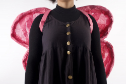 http://www.jasminesmail.co.uk/files/gimgs/th-14_Fairy wings, 2021 website 2.jpg
